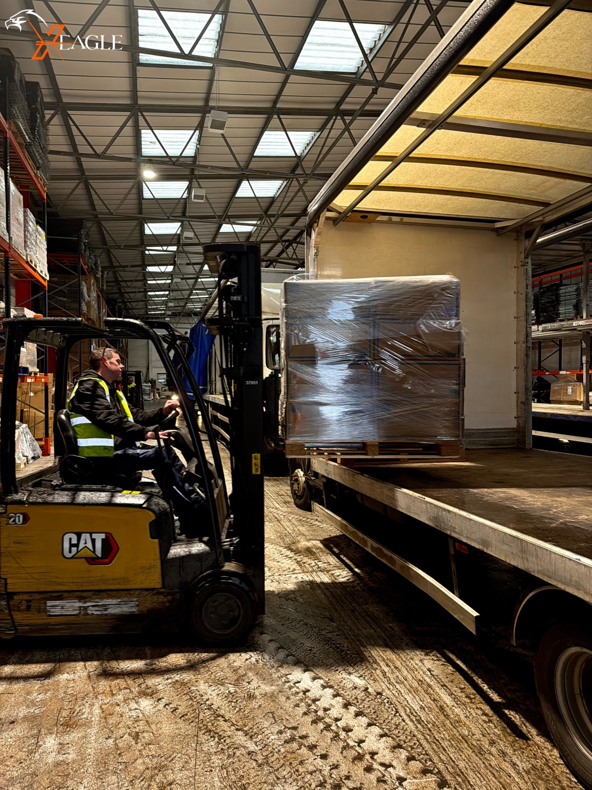X Eagle Courier — Cat Forklift Pallet